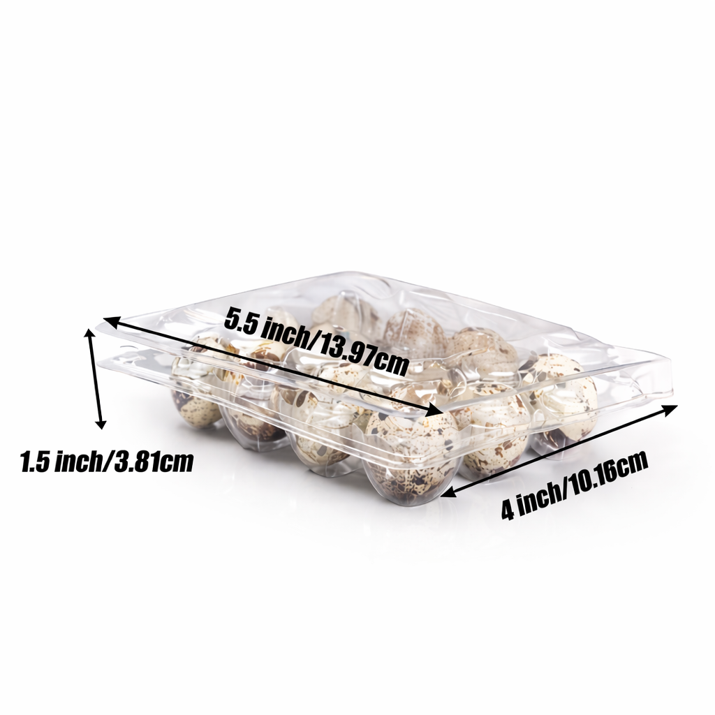 12 Egg Quail Egg Holder 50 pcs