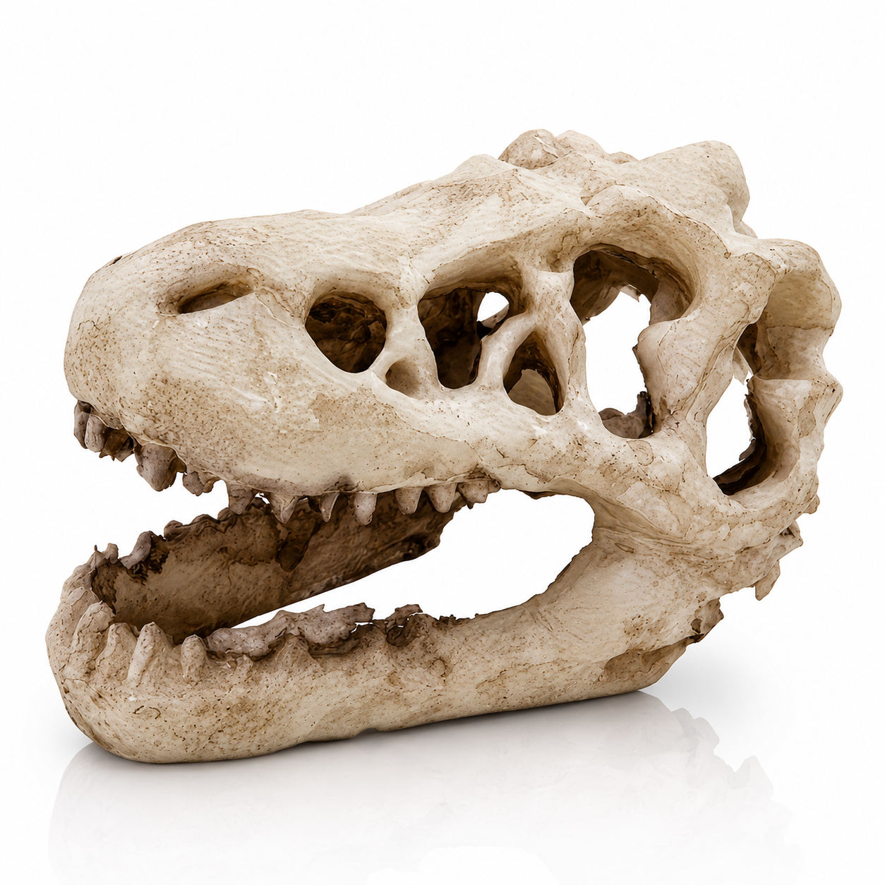 Prehistoric Predator Skull Aquarium Ornament