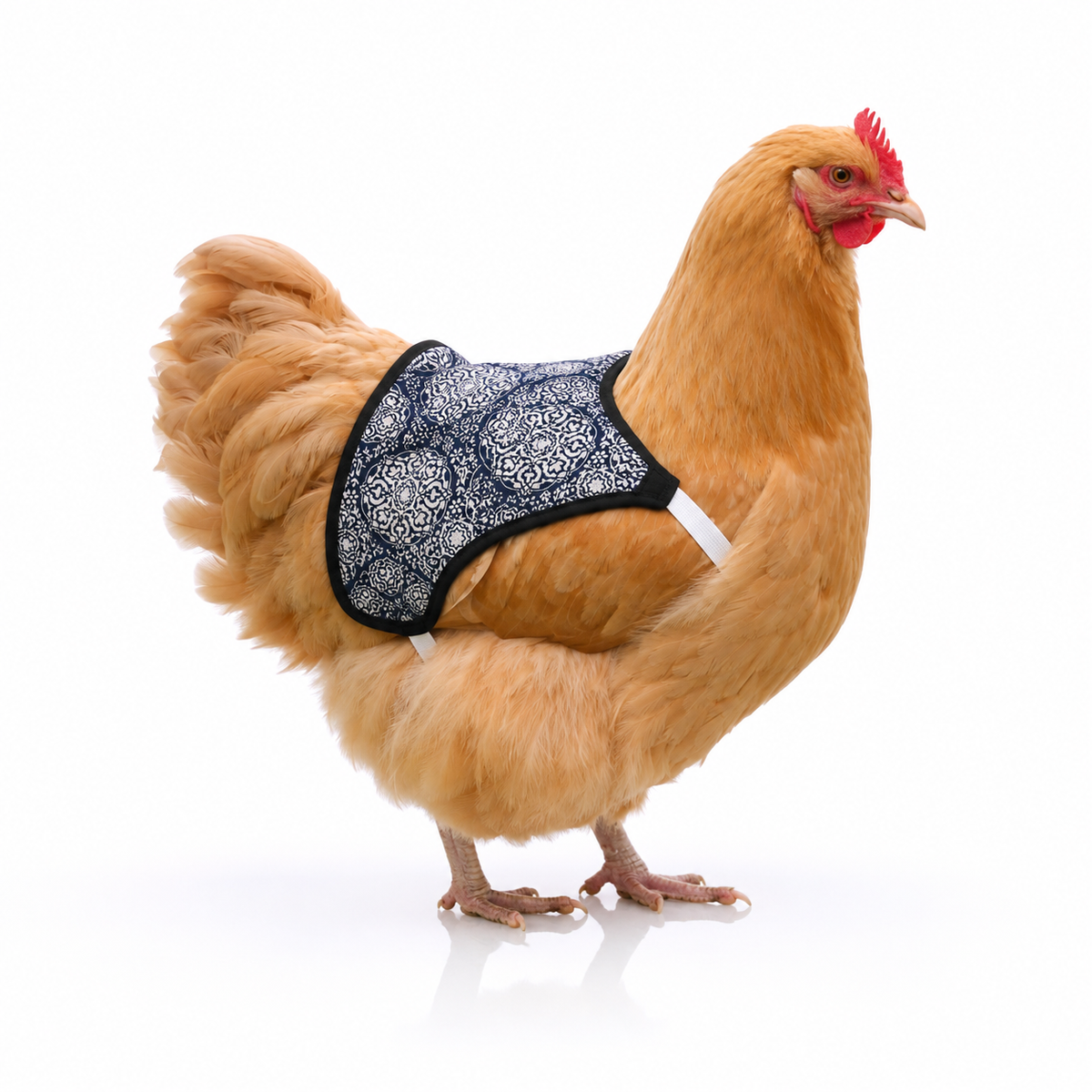 Sewn-On Press Button Chicken Saddle