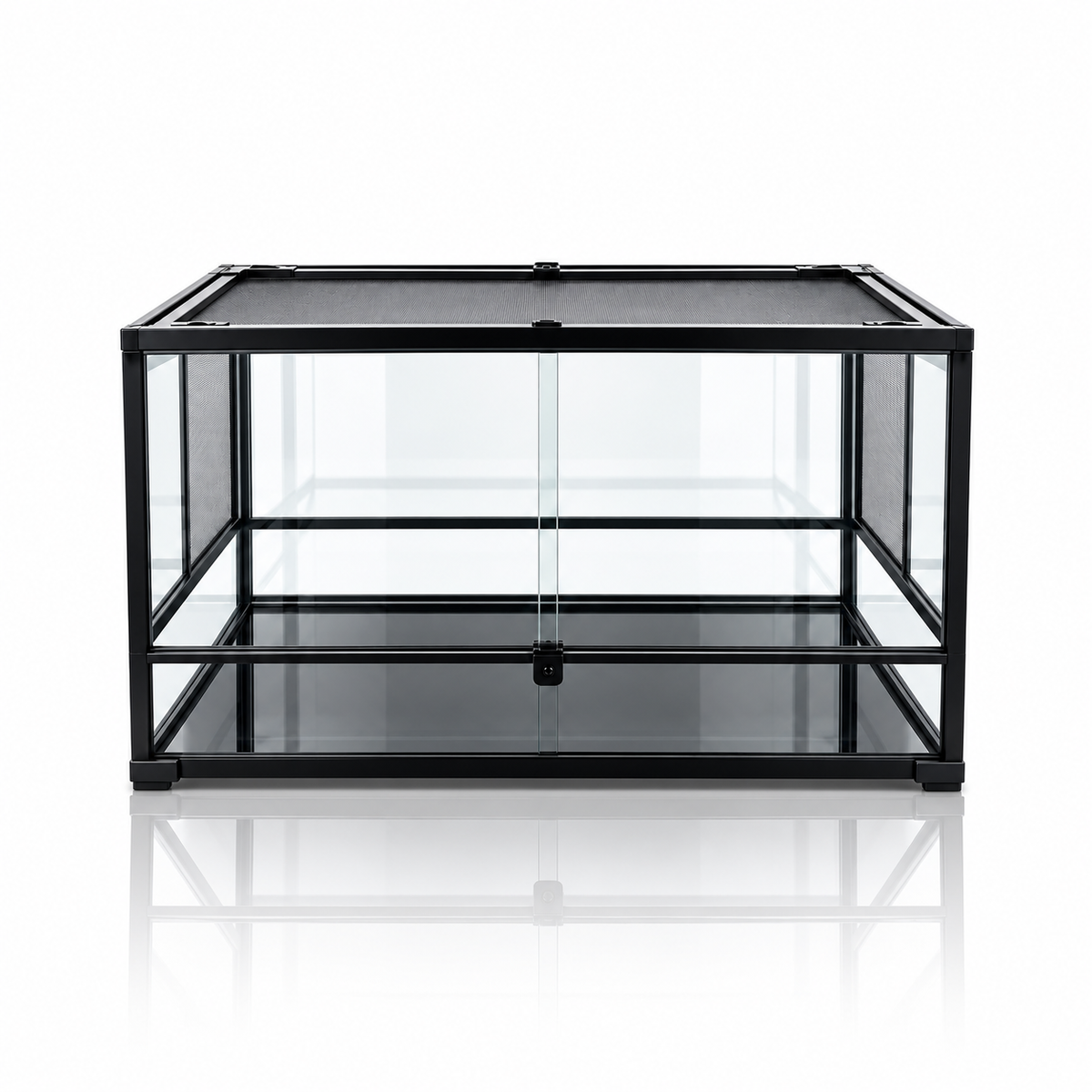 The Vista Terrarium