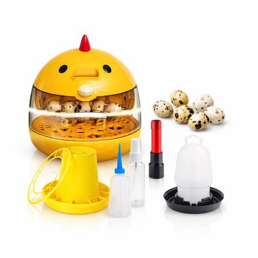 Quail Hatching Starter Kit