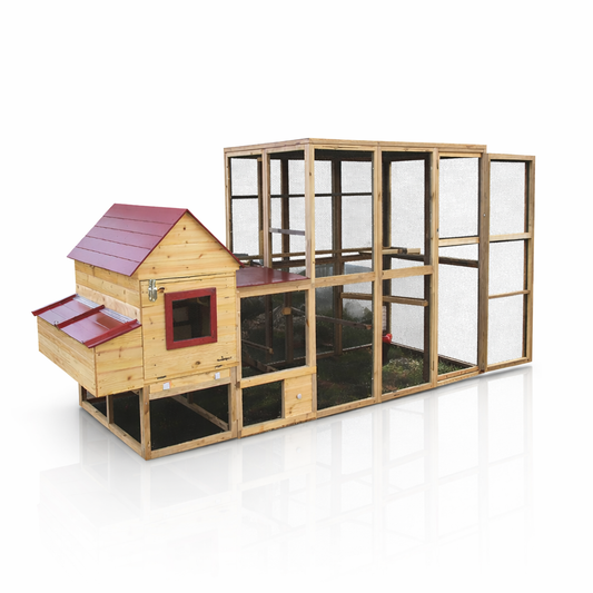Walk-In Chicken Coop
