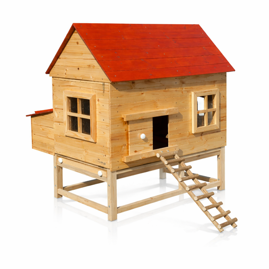 Outdoor Chicken Coop