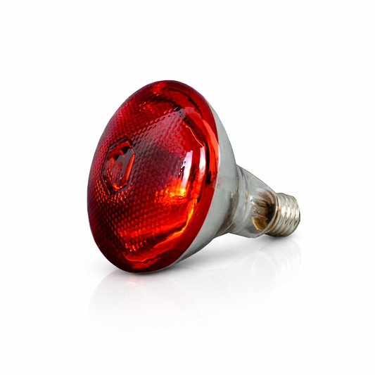Infrared Poultry Light 250w