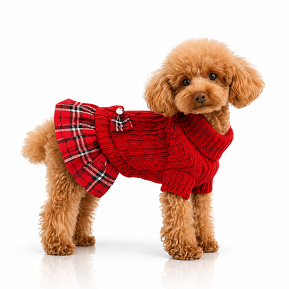 Cute Knitted Sweater Dress