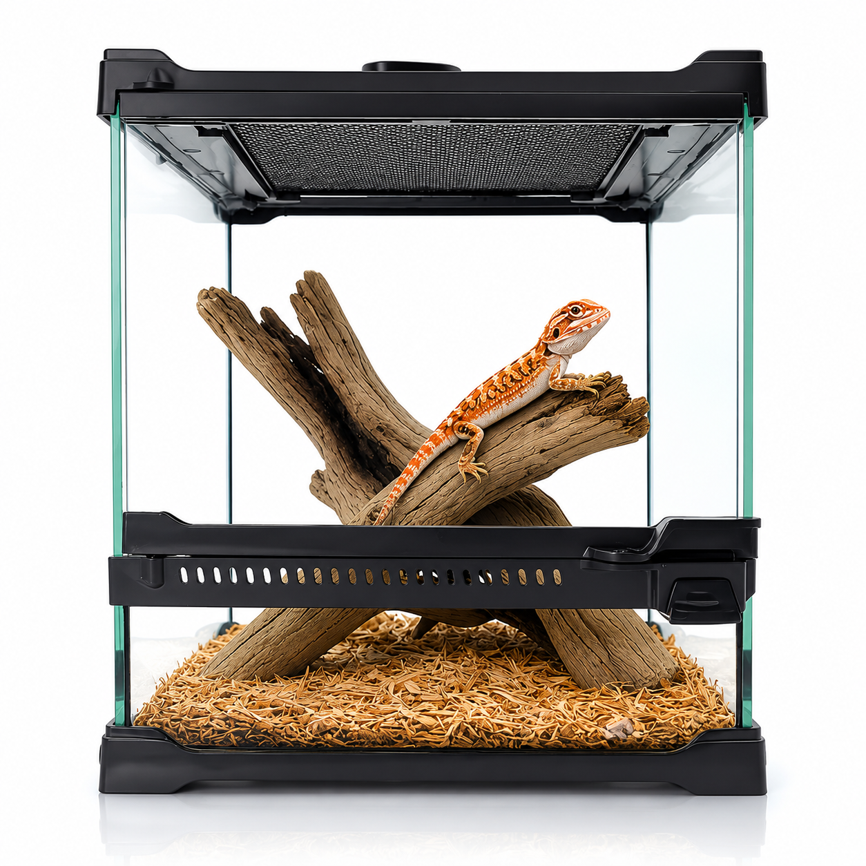 TerraVault Glass Terrarium