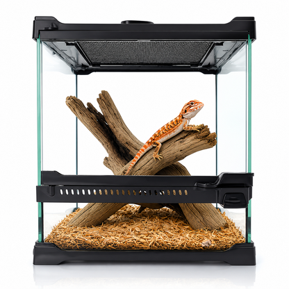 TerraVault Glass Terrarium