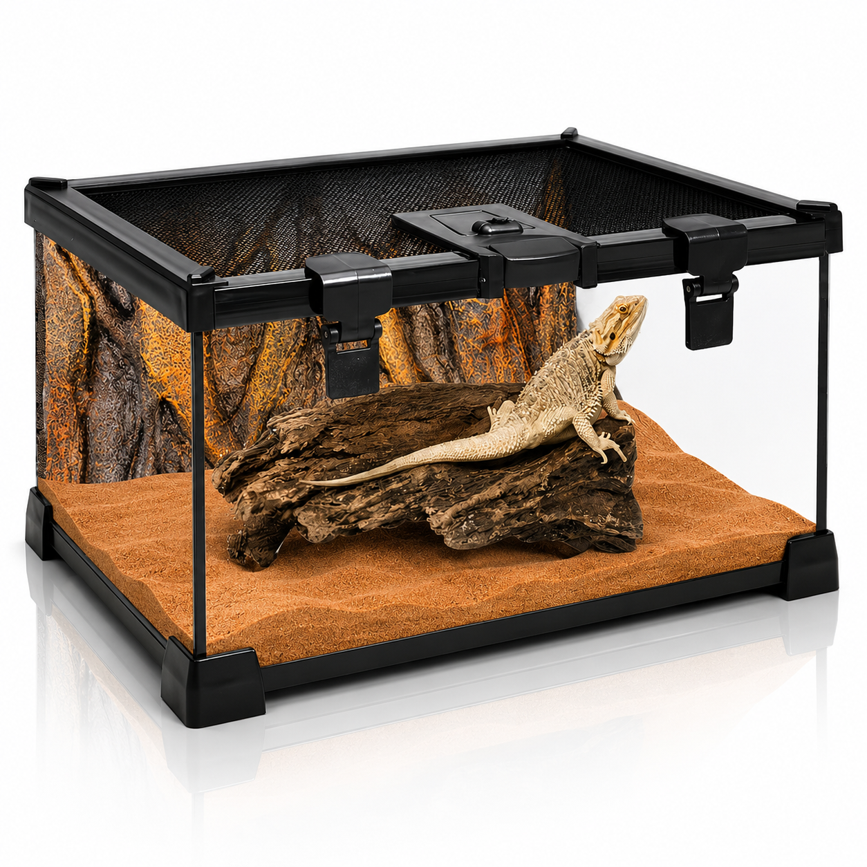 ApexVista Top-Opening Glass Reptile Terrarium