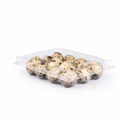 12 Egg Quail Egg Holder 50 pcs