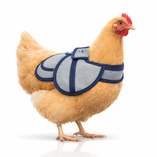 Chicken Hen Saddles