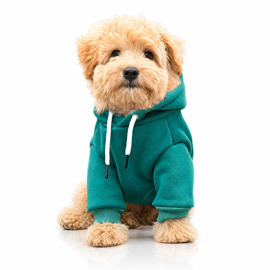 Comfortable, Warm Dog Hoodie