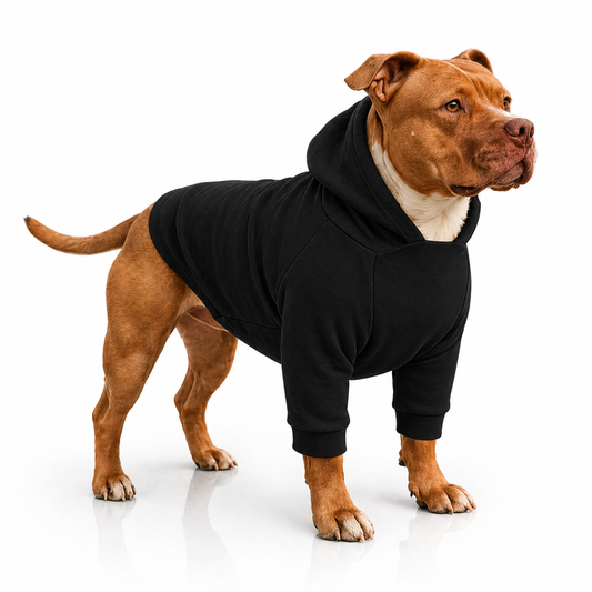 Plain Dog Hoodie