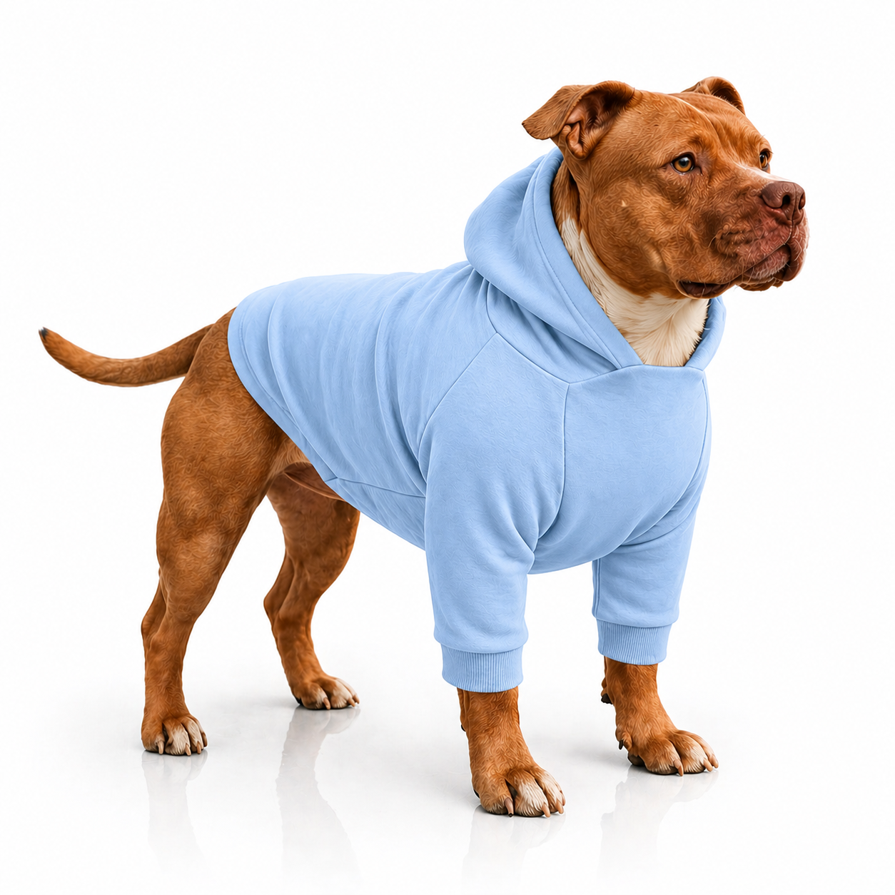 Plain Dog Hoodie