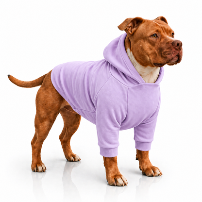 Plain Dog Hoodie