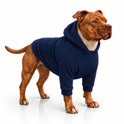 Plain Dog Hoodie