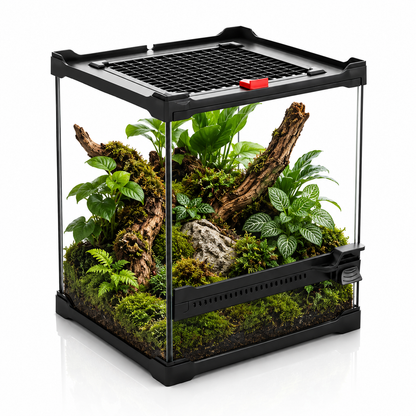 TerraVista Nano Glass Terrarium