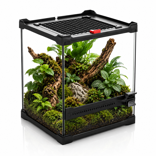 TerraVista Nano Glass Terrarium