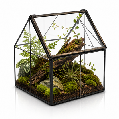 Glass Wardian House Terrarium Planter