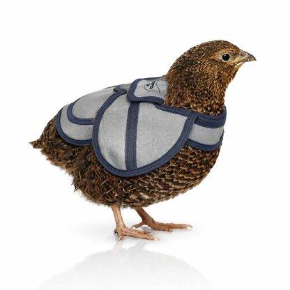Quail Saddles
