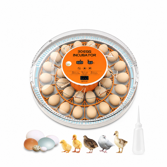 30 Chicken Egg incubator \ 60 Quail Eggs