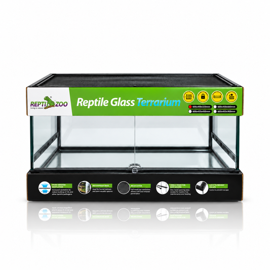 The Panorama Terrarium